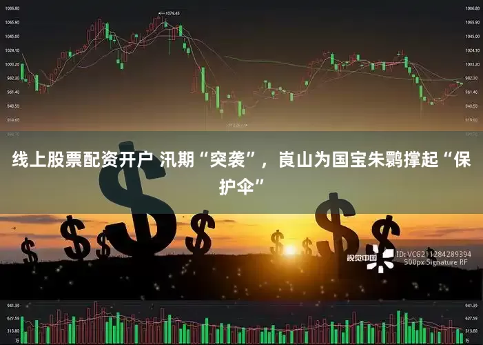 线上股票配资开户 汛期“突袭”，崀山为国宝朱鹮撑起“保护伞”