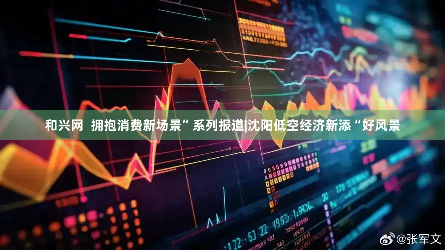 和兴网  拥抱消费新场景”系列报道|沈阳低空经济新添“好风景