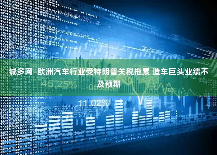 诚多网  欧洲汽车行业受特朗普关税拖累 造车巨头业绩不及预期