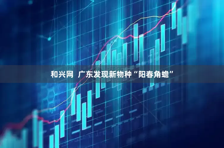 和兴网 广东发现新物种“阳春角蟾”