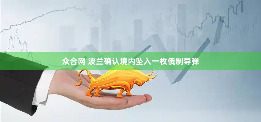 众合网 波兰确认境内坠入一枚俄制导弹